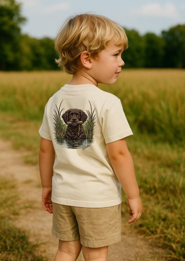 Boykin Spaniel Marsh — Tee or Sweatshirt